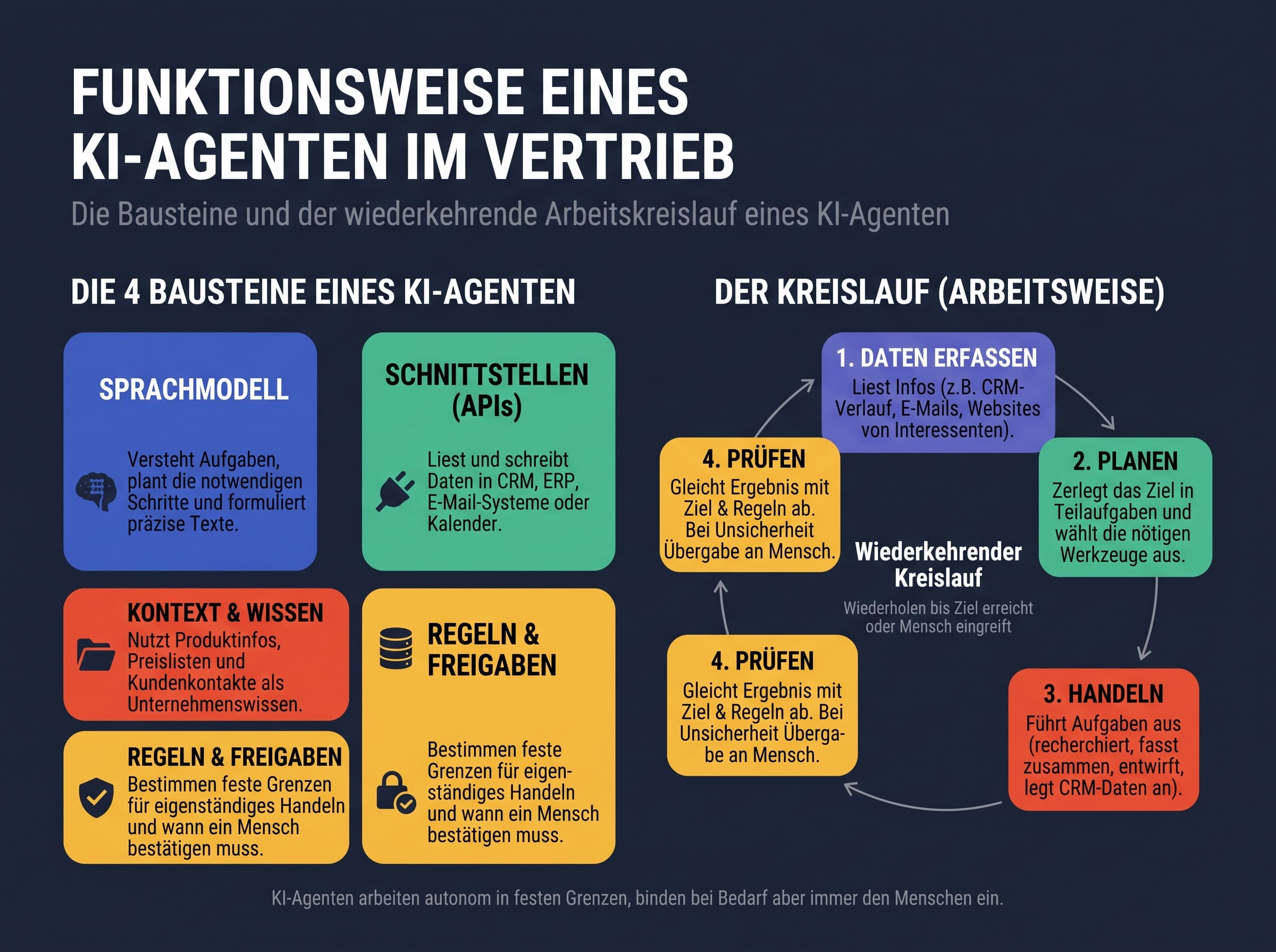 Schaubild: KI-Agent im Vertrieb erfasst Daten, plant, handelt und prüft, mit menschlicher Freigabe vor dem Kundenkontakt